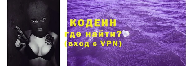 дживик Бородино