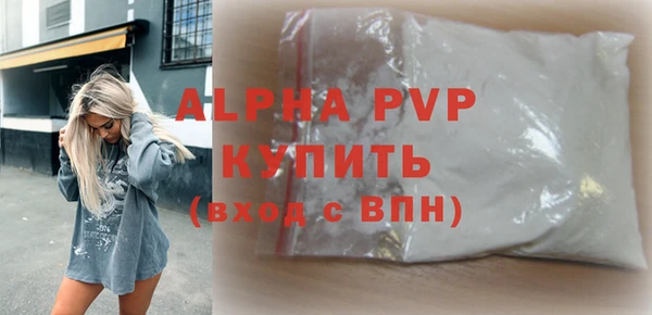 дживик Бородино